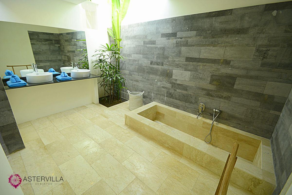 Villa Deluxe Seminyak (Bali)